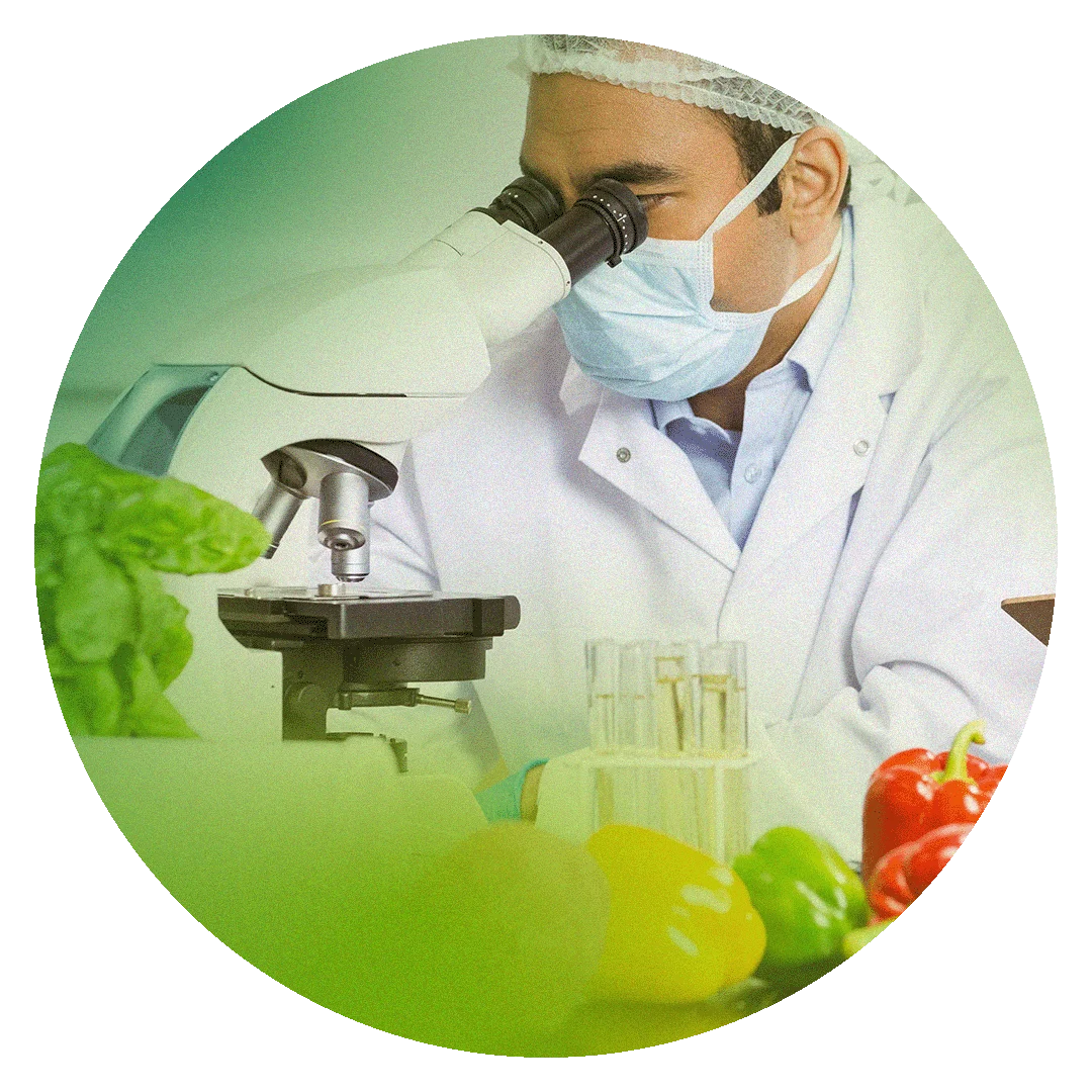 IMAGEN CIRCULO MICROSCOPIO | PROVALAB